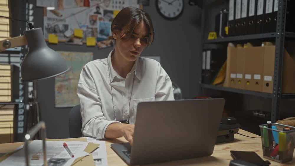 Image is of a professional reviewing digital records on a laptop, concept of research and verification process in an asset search report.